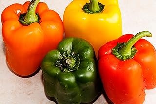 Fresh Organic Rainbow Bell Peppers Red, Yellow, Orange, and Green by Raw...